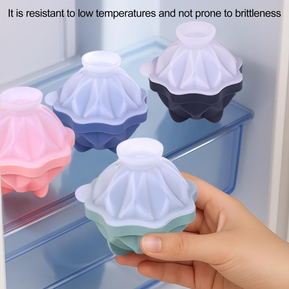 Moule à glaçons sphériques pou - Ice Mold Sphere avis et prix